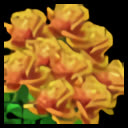 Bouquet of Orange Marigolds