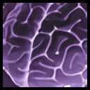 Brain-Connector Chain